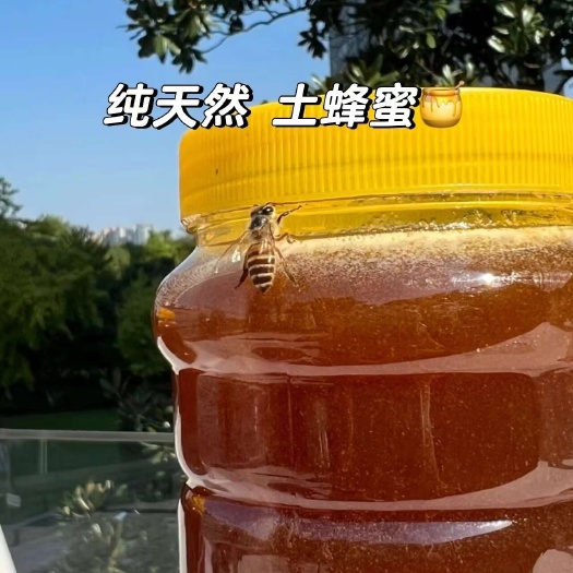 河源大山里的百花蜜 蜂蜜