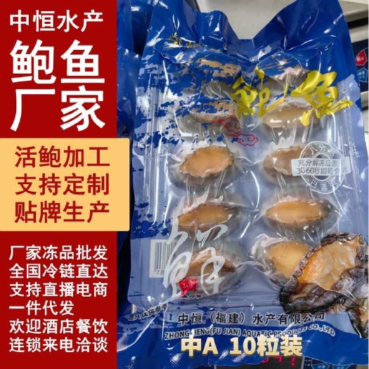 东山县二去鲍鱼 新鲜中A去肚带壳鲍鱼速冻海鲜佛跳墙清蒸浇汁商用批发