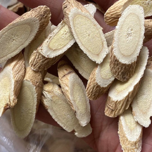 甘肃岷县黄芪