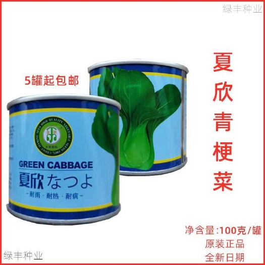 日本夏欣青梗菜耐热F1青梗菜上海青良种春夏秋冬季蔬菜种孑