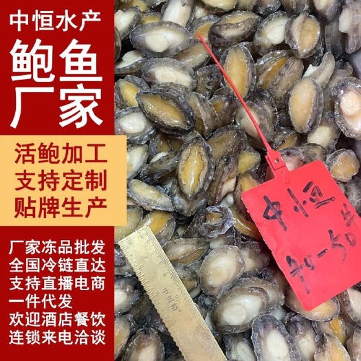 东山县鲍鱼肉 新鲜40-50头速冻鲍鱼肉 商用海鲜水产冻品货源厂家