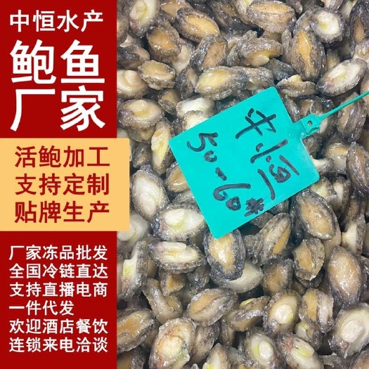 东山县冷冻鲍鱼肉 50-60头新鲜鲍鱼肉海鲜水产冻品商用大小鲍鱼