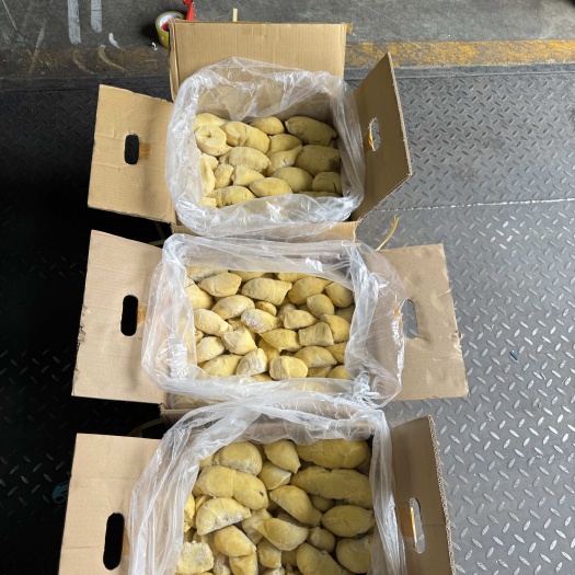 广州泰国金枕带核A新柜到货