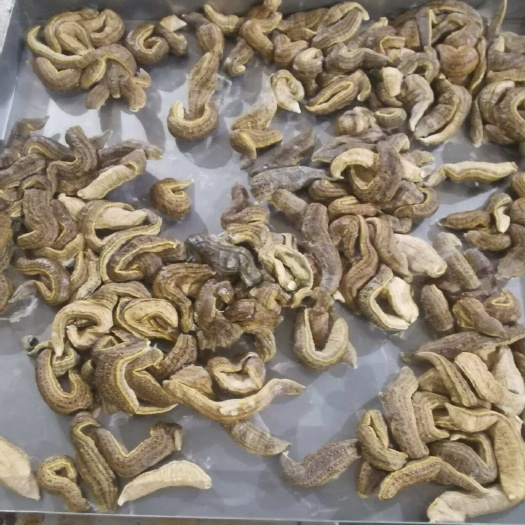 樟树市各种水蛭冻干货，寒地水蛭，菲牛，医蛭，冻干