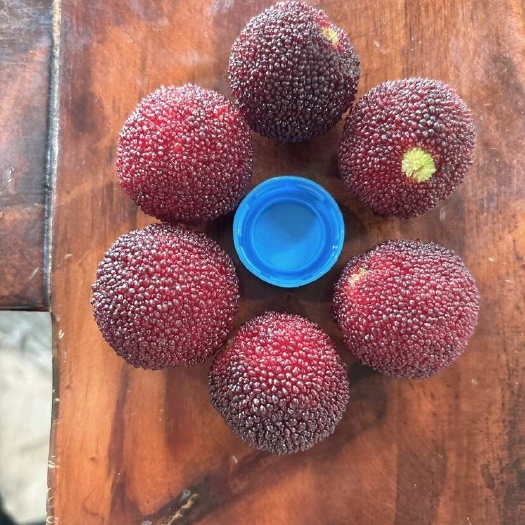 漳州杨梅