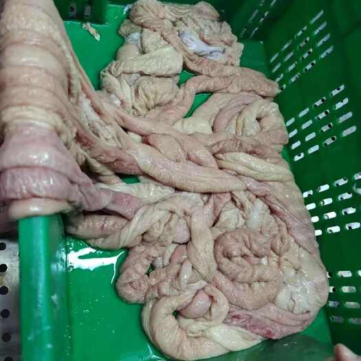 临沂猪大肠