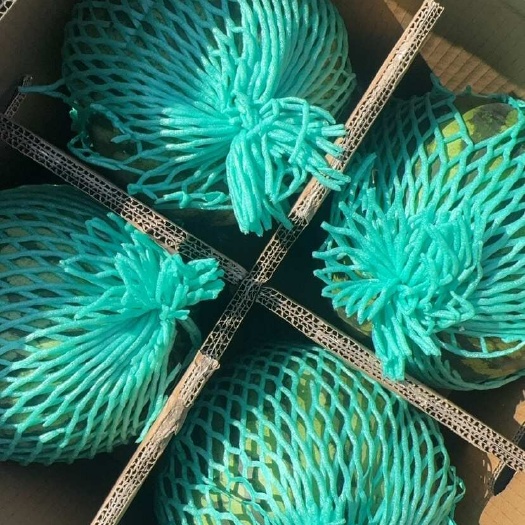 江苏头茬麒麟无籽西瓜