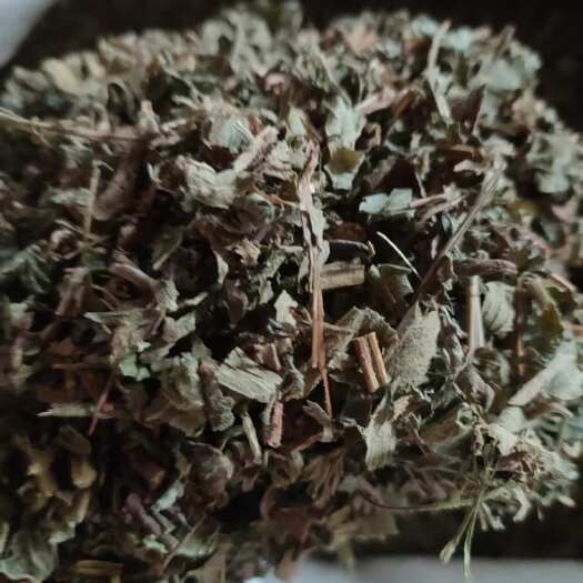 广水市供应仙鹤草