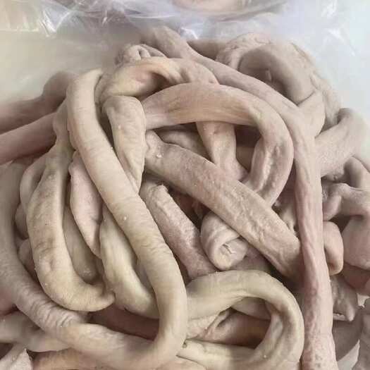 阳信县牛小肠国产半熟小肠黄牛圆肠牛盘肠肥肠牛肠烧烤火锅餐饮家庭牛杂
