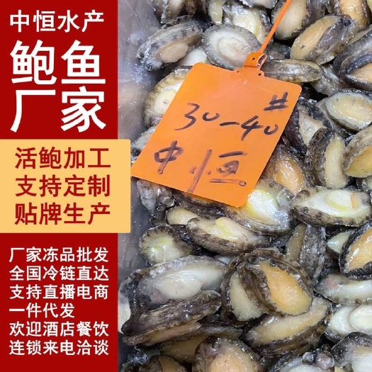 东山县鲍鱼肉30-40头鲍鱼纯肉【鲍鱼工厂】鲜活鲍鱼加工海鲜冻