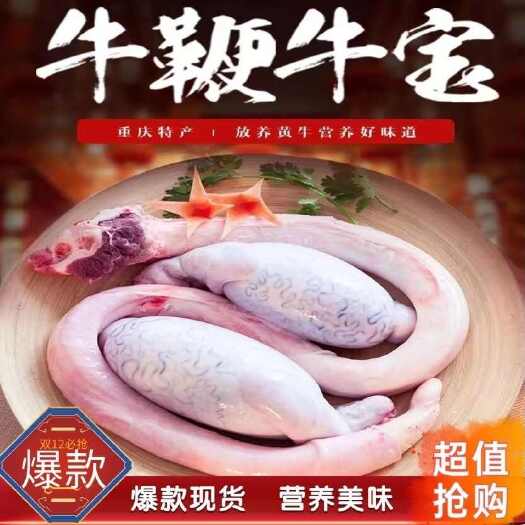 青岛黄牛农家牛鞭冷冻牛宝睾丸牛蛋整根新鲜整套三宝现杀速冻包邮