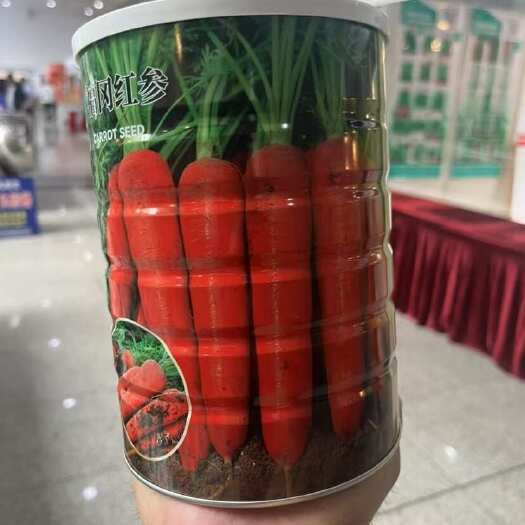 璐通杂交胡萝卜种子福冈红参净含量300克