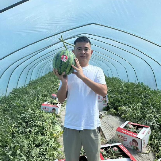 盐城美都麒麟西瓜大量上市中 产地直发 专业验瓜 品质有保障
