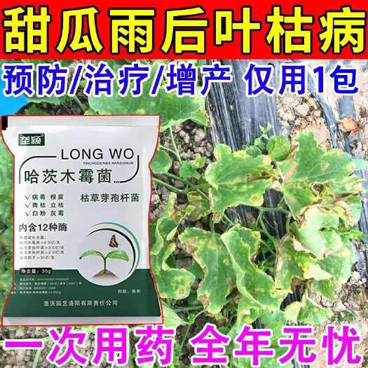 栾川县甜瓜病害专用药枯萎蔓枯病毒病炭疽白粉病全治甜瓜西瓜通用杀菌剂
