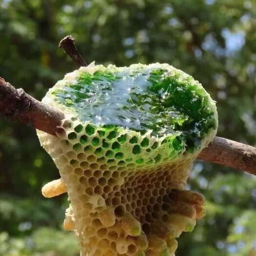 芒市翡翠蜂蜜
