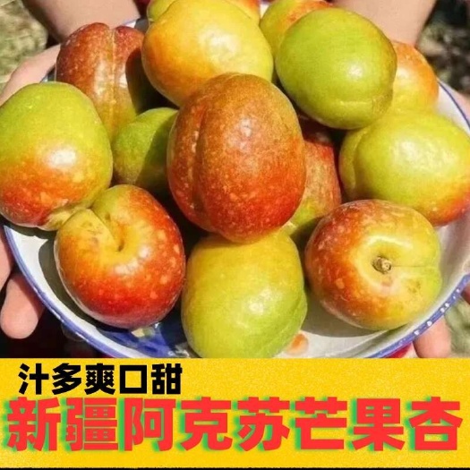 新疆阿克苏新鲜杏子 当季采摘优质水果果园直发