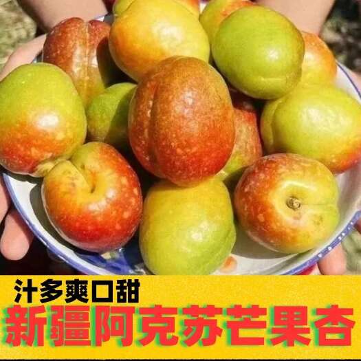 阿克苏市新疆阿克苏芒果杏新鲜杏子 当季采摘优质水果果园直发