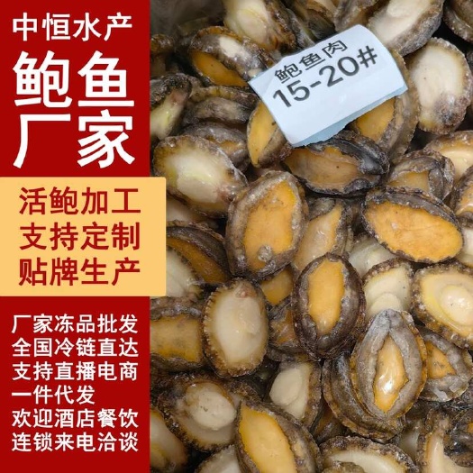 东山县新鲜大鲍鱼肉 活鲍加工15-20头纯肉 餐饮酒店电商冻品批发