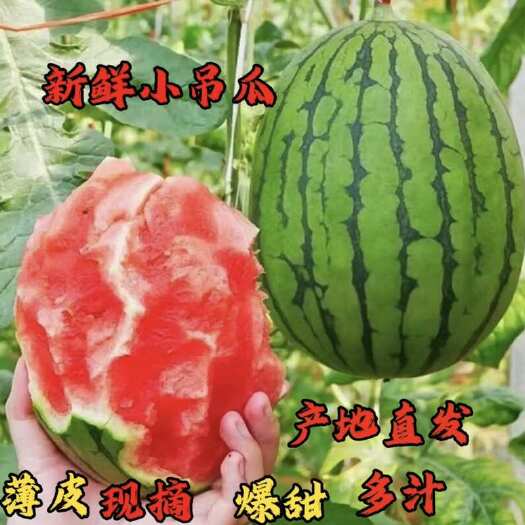 北海广西北海翠玲小西瓜皮薄脆甜多汁