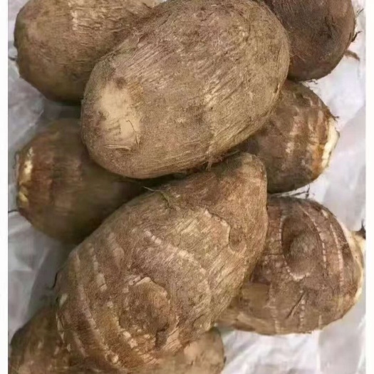 山东万亩毛芋头基地，一手货源，支持全国各地发货