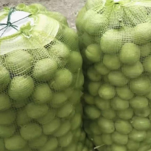 青皮核桃