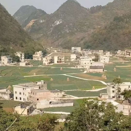 田地