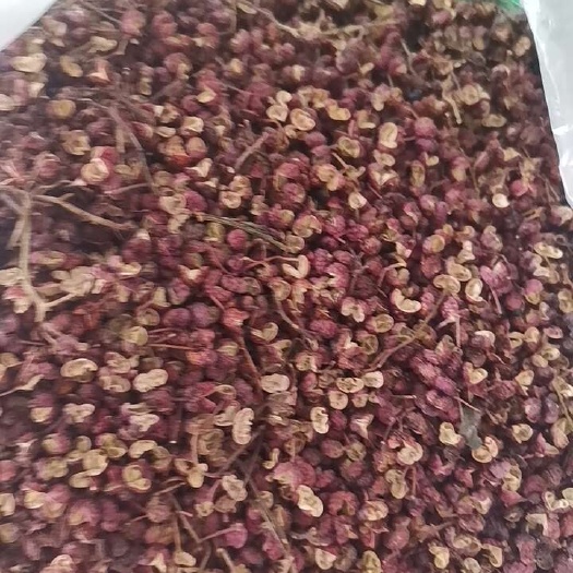 石家庄农家自种花椒，山地成长，日照时间长，
