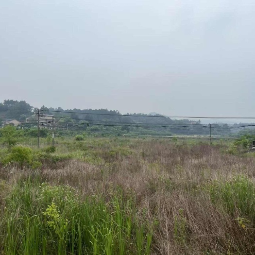 衡阳早地，可以种植蔬菜，西瓜，草莓，药材