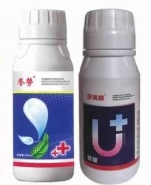 寿光市红蜘蛛各类螨虫专用高效杀螨剂防治蔬菜果树等作物抗性螨虫效果优