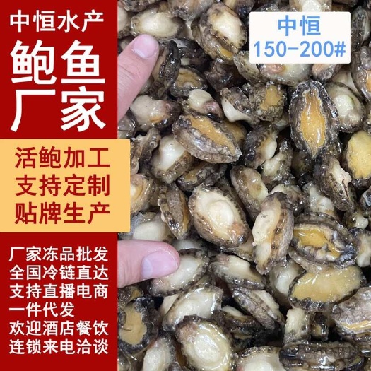 东山县鲍鱼肉小鲍鱼150-200头纯肉 电商餐饮海鲜水产冻品批发