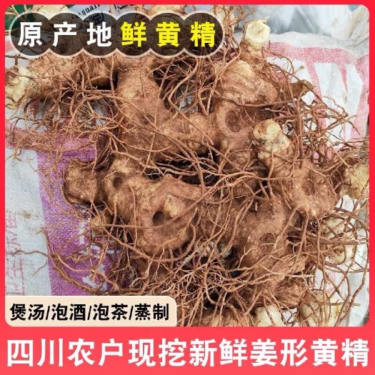 岳池县多花姜形黄精，电商，批发，饮片厂，一件代发