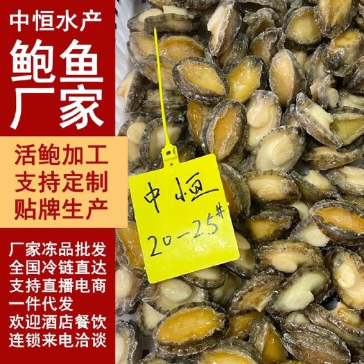 东山县鲍鱼肉 新鲜20-25头大鲍鱼纯肉 海鲜水产冻品厂家货源批发
