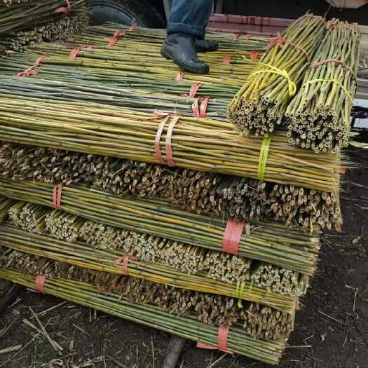 耒阳市竹竿火龙果竹子1.5米100枝装，辣椒架