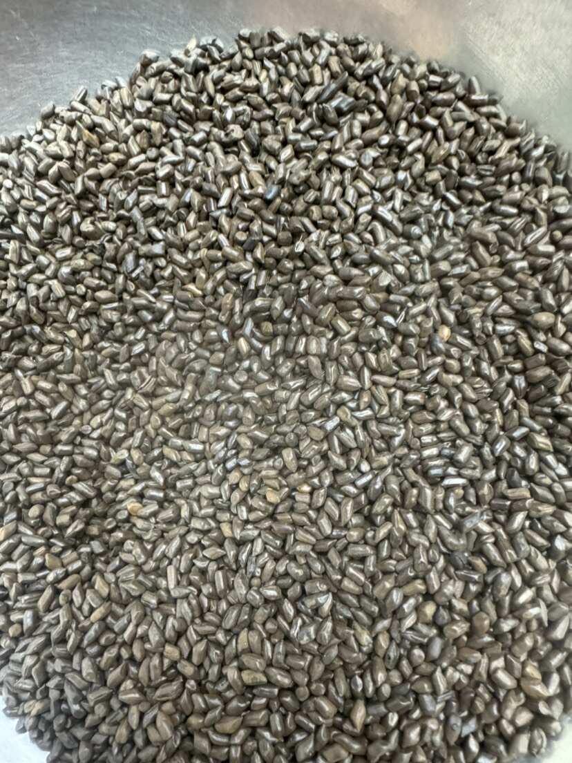 决明子熟决明子泡水用的决明子茶