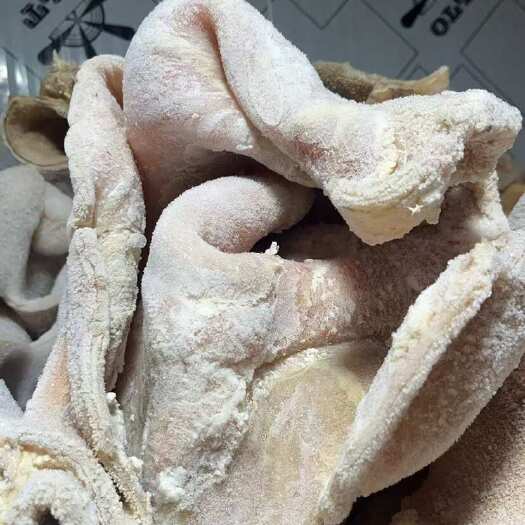 重庆市牛大肚，长期供货