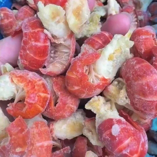 项城市虾尾大量批发。电商一件代发