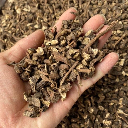 黑龙江黑土地十年以上蒲公英婆婆丁老根