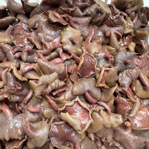 楚雄市云南野生红乳盐渍小朵牛肝菌