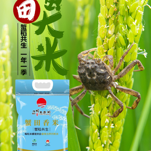盘锦盘锦辽河三角洲蟹田香米