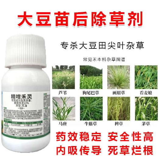 郑州杀大豆田禾本科杂草大豆苗后除草剂马唐狗尾草牛筋草尖叶杂草专杀