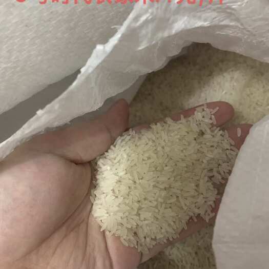 广州正宗江门农家大米