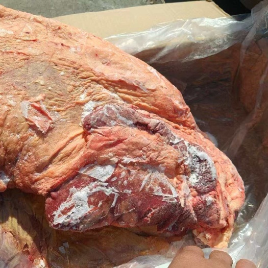 锡林浩特草原黄膘牛胸肉