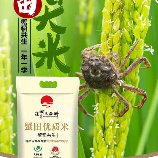 盘锦新米新大米10斤盘锦辽河三角洲蟹田米 蟹稻共生 生态种植