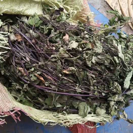 光山县新货石见穿，带根，全棵，颜色青。