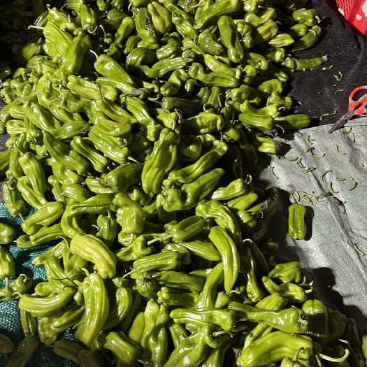 南宁芜湖椒邹皮泡椒青辣椒冻货处理