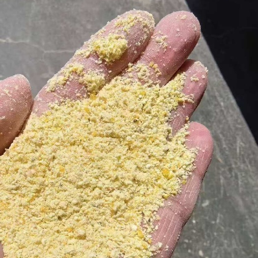 石家庄玉米次粉代替玉米使用