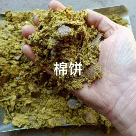 菏泽棉饼，种地棉饼，养殖棉饼