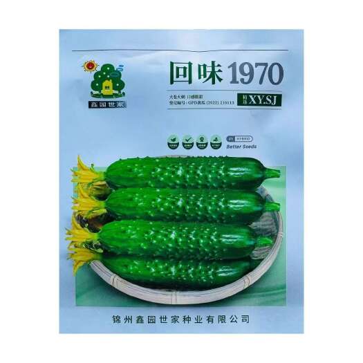 水果黄瓜种子回味1970强雌水果黄瓜种子 回味1980黄瓜种