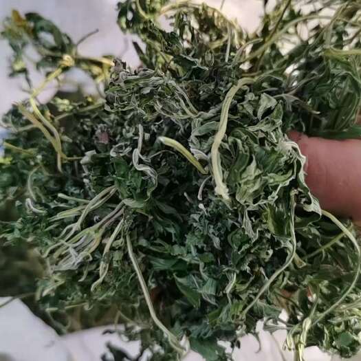 商城县益母草叶子