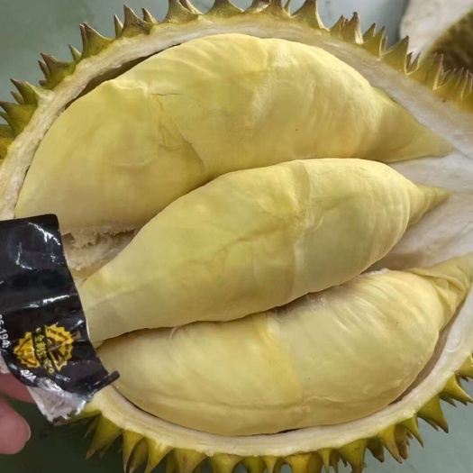 广州【树上熟】泰国空运金枕榴莲